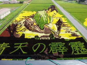 田んぼアート