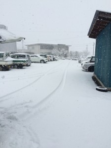 雪やこんこん・・・