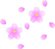 桜～☆彡