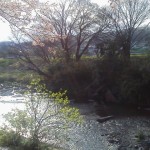 ウォーキング、やってみたら！