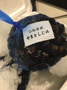 涸沼産 しじみ 。