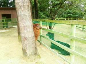 クイズ？