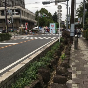 とだ50祭に行って来ました！