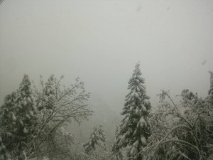 初雪