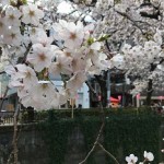 4月