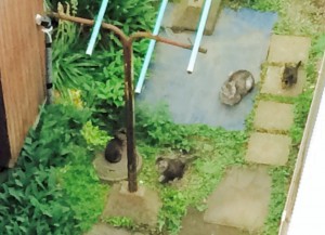 最近の楽しみ、、、