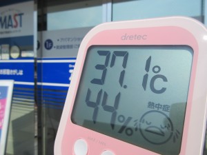 日当たり良好？
