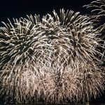 今年も行きました。。