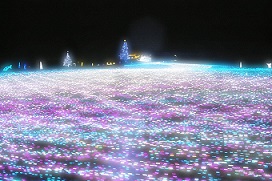 キラキラ☆彡