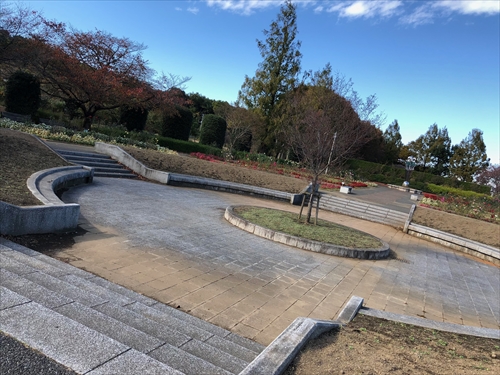 大宮花の丘農林公苑