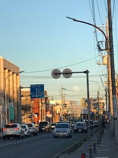 穏やかな始まり♪