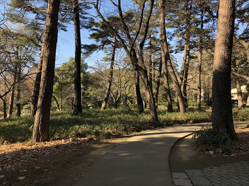 大宮公園・氷川神社へ行ってきました