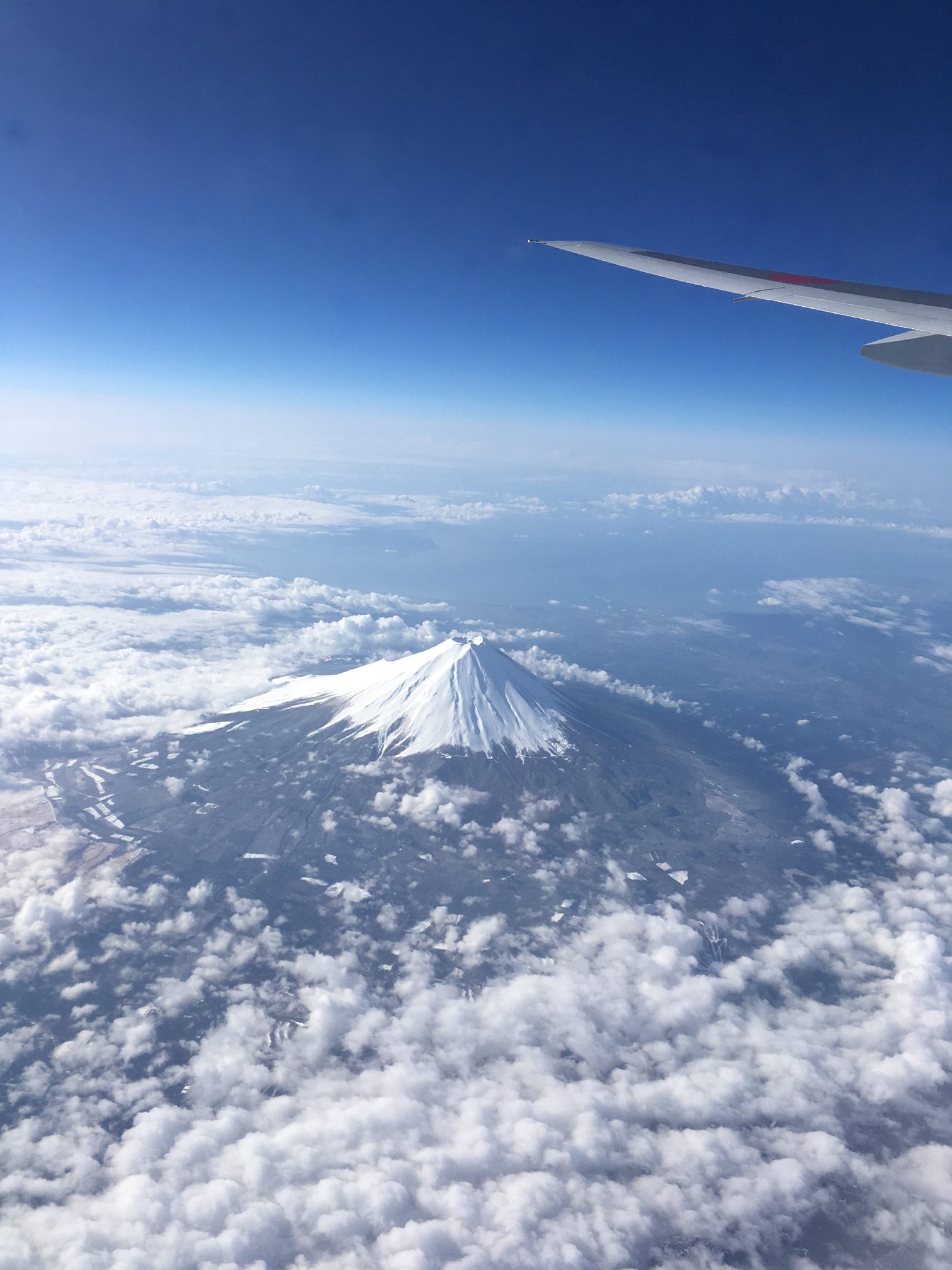 上空から