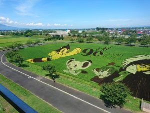 田んぼアート　石アート　田舎館村2018