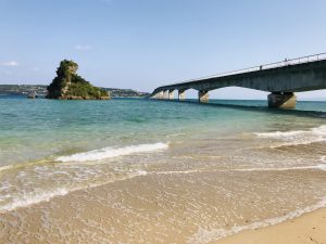 私の2018年