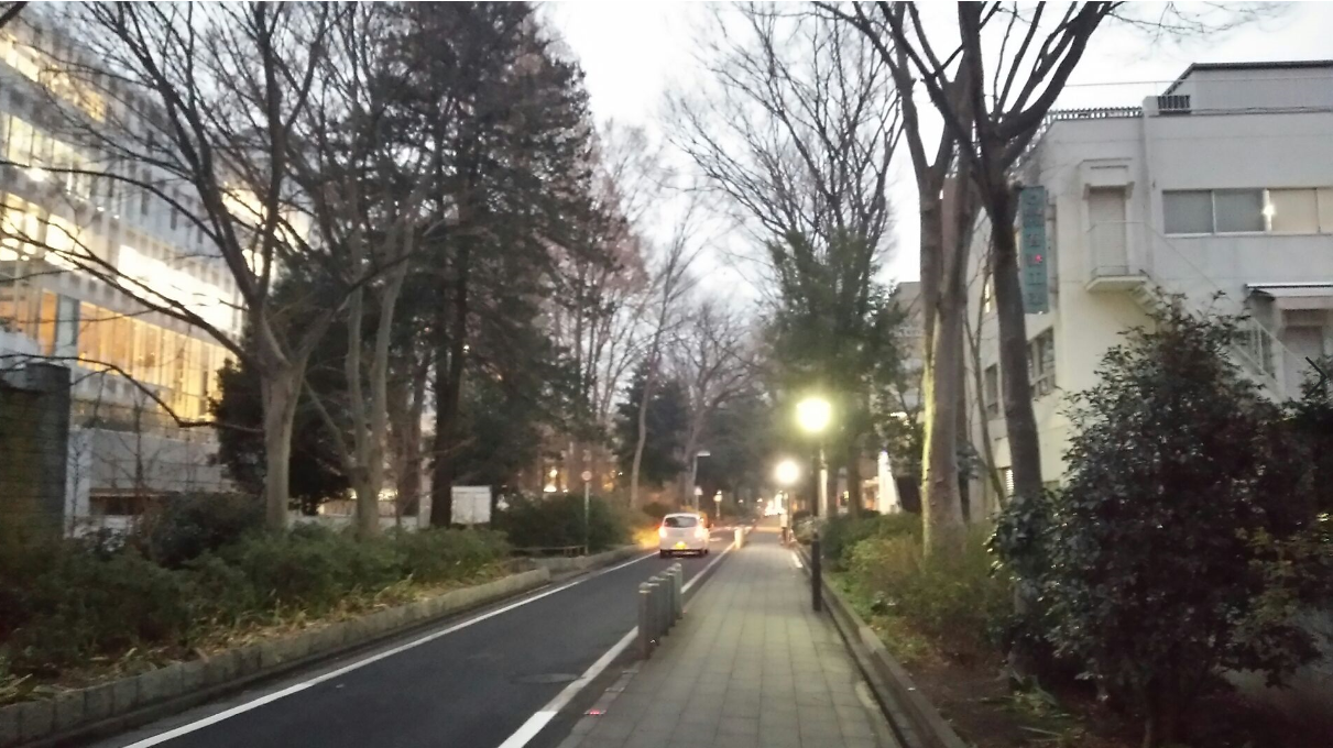 熊谷珈琲～大宮氷川参道～