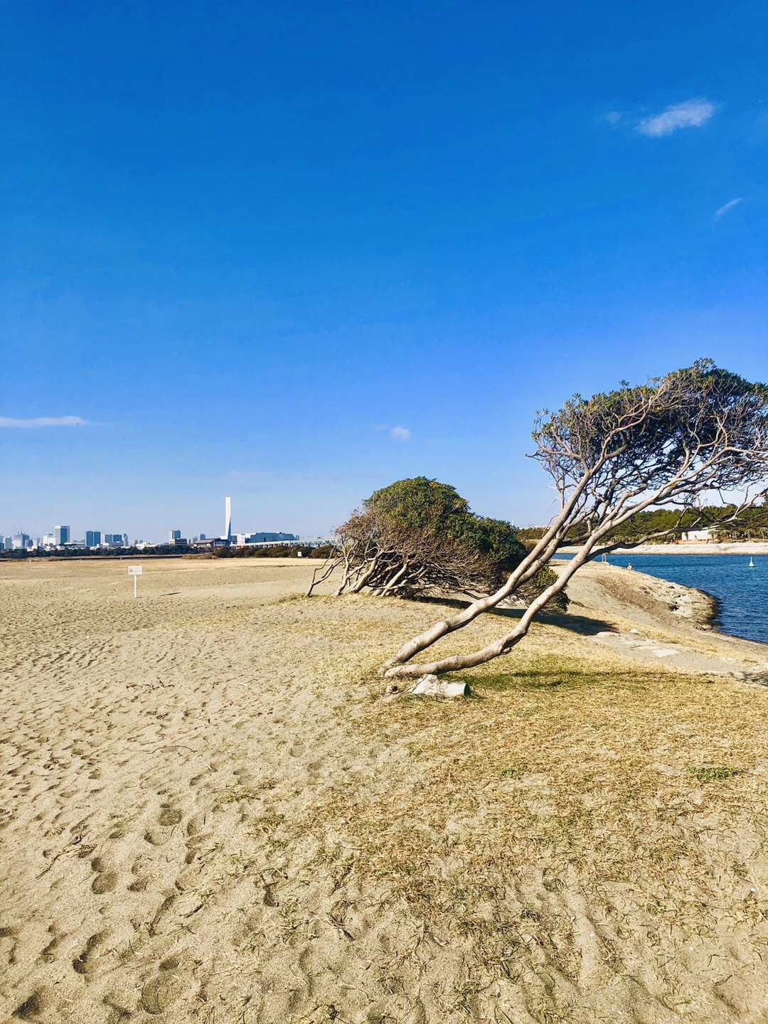 葛西臨海公園