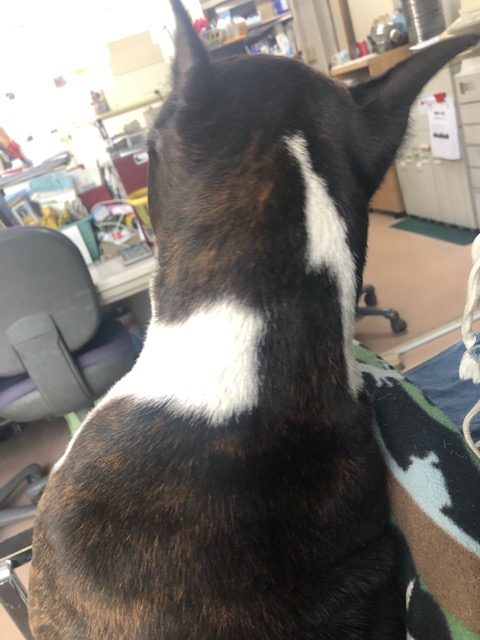 見返り美人？