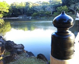 ７年前の写真