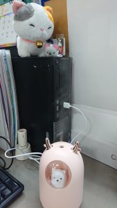 癒しの加湿器
