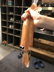 イカ釣り