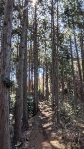 ヘタレ登山日記㉔