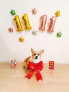 11.11　ポッキー＆プリッツの日！