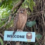 伊豆シャボテン公園と長瀞
