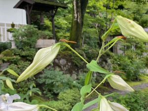 少しで良かった