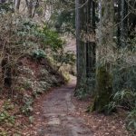 pxl_20220406_022807135