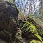 pxl_20220406_024113168
