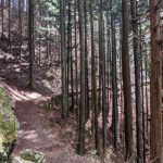 pxl_20220406_024535517