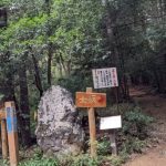 pxl_20220907_004203264-mp