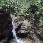pxl_20220907_021117059