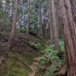 pxl_20220907_023611731