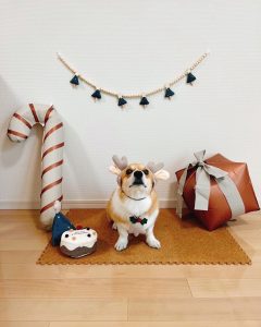 メリークリスマス！