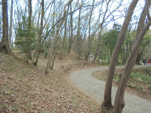 春と言えば・・・