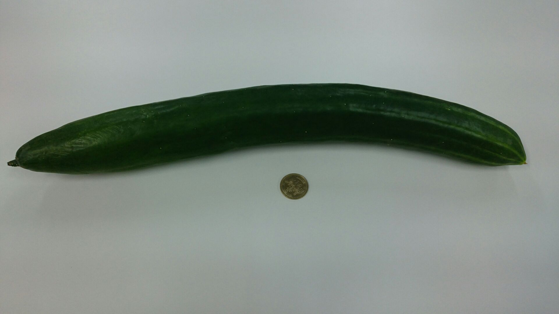 写真で一言１４