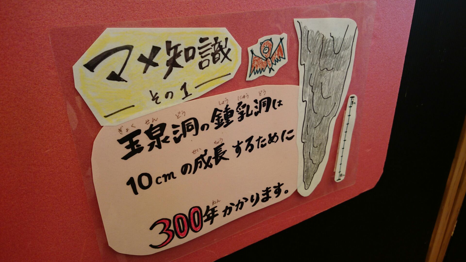 写真で一言１５