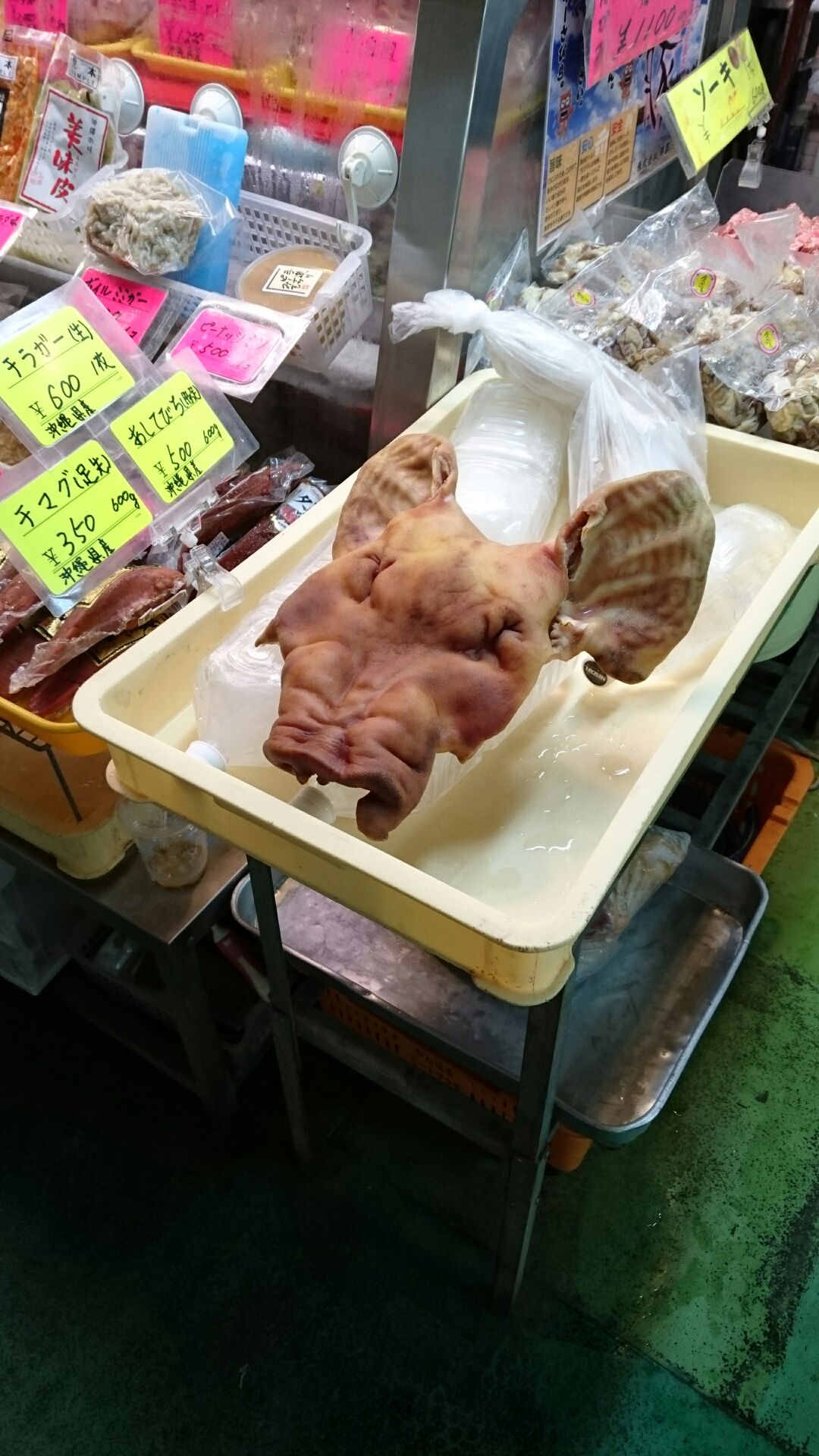 写真で一言１６