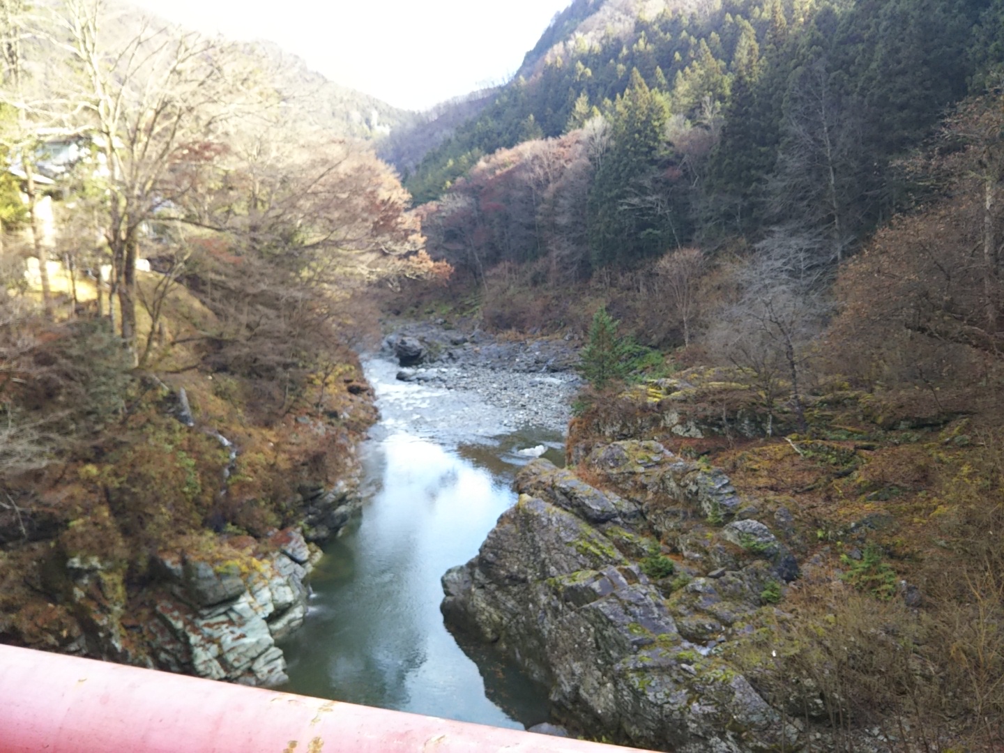 シリーズ化確定？