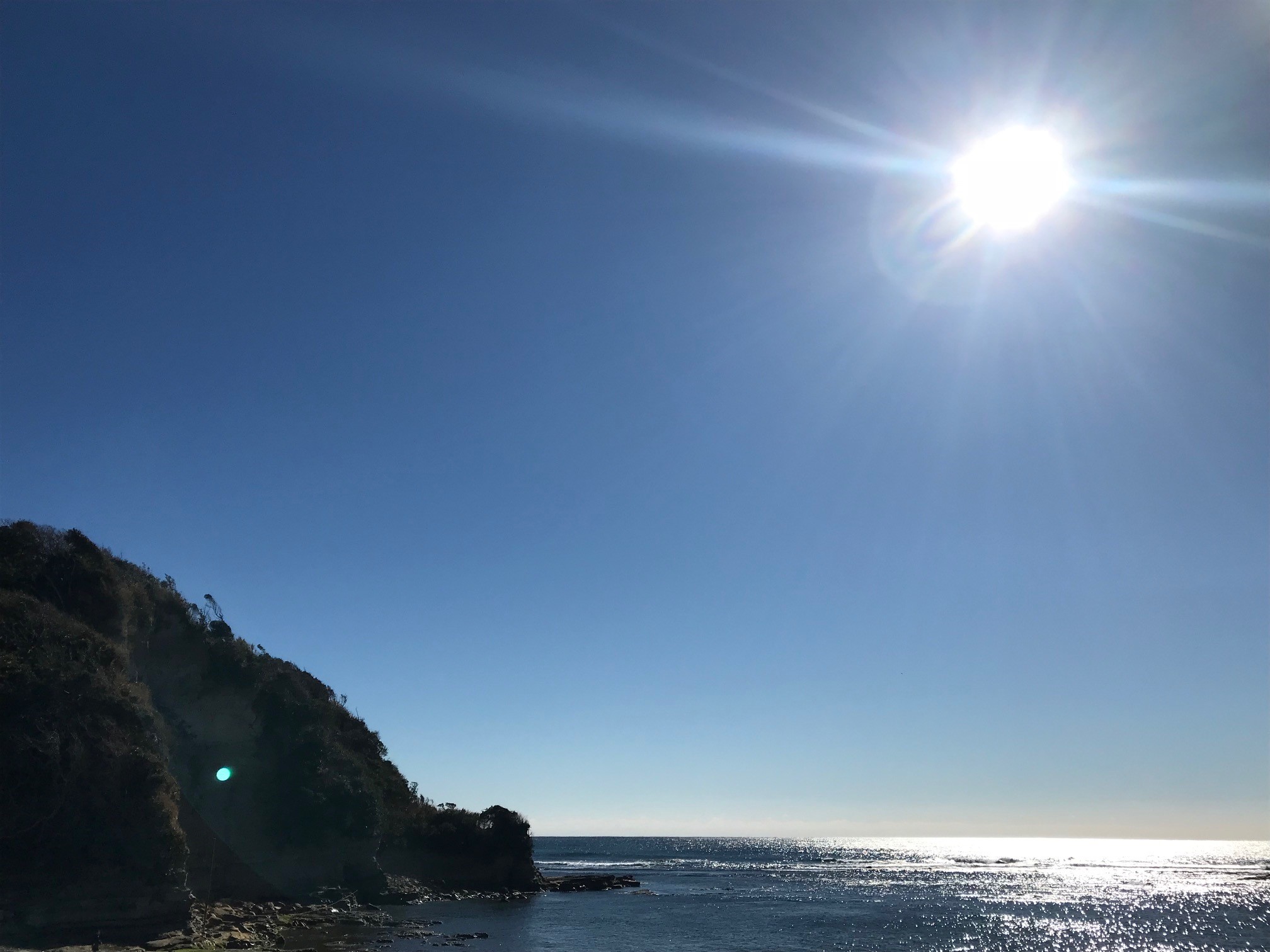 穏やかな始まり♪