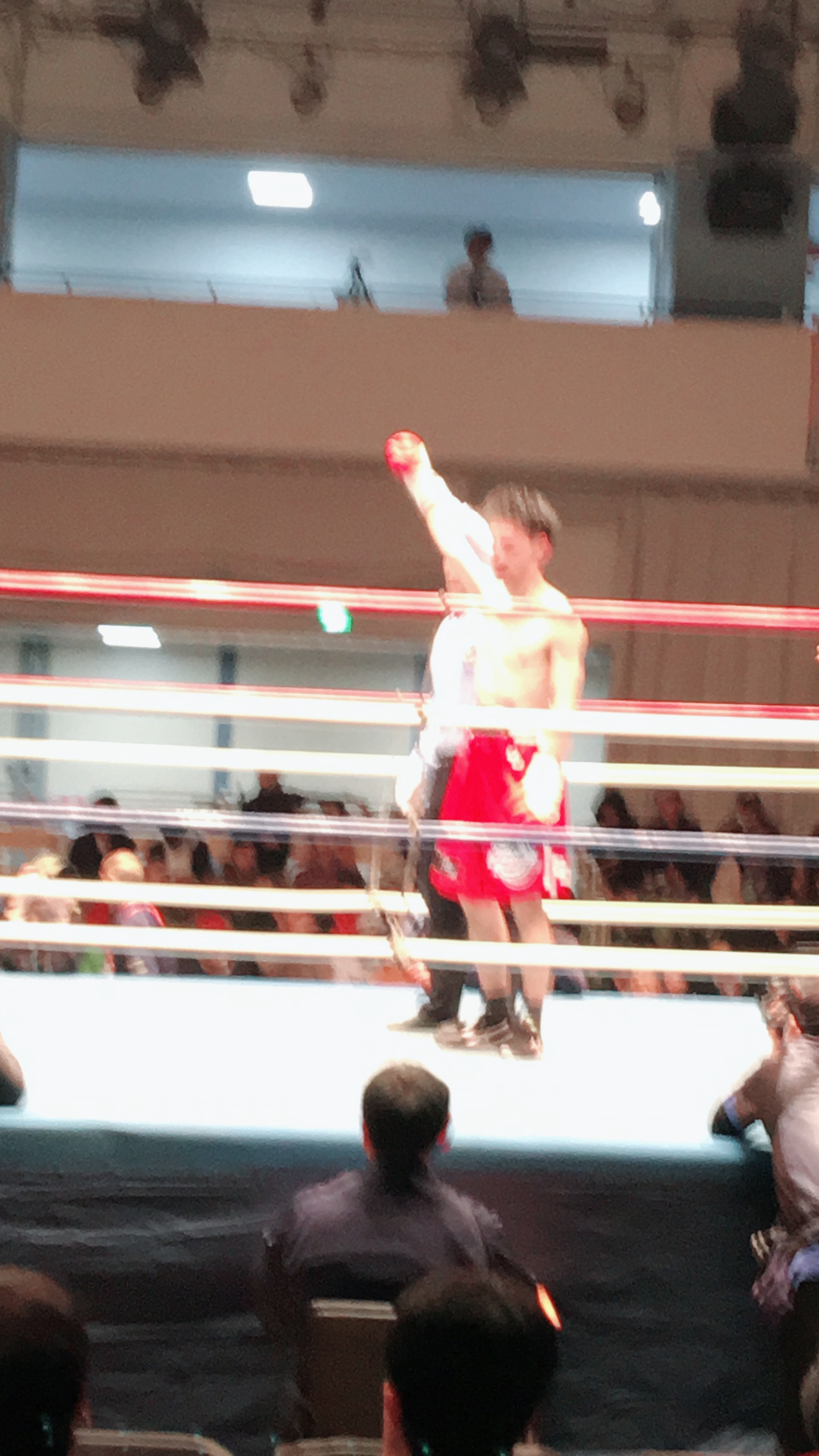ボクシング観戦