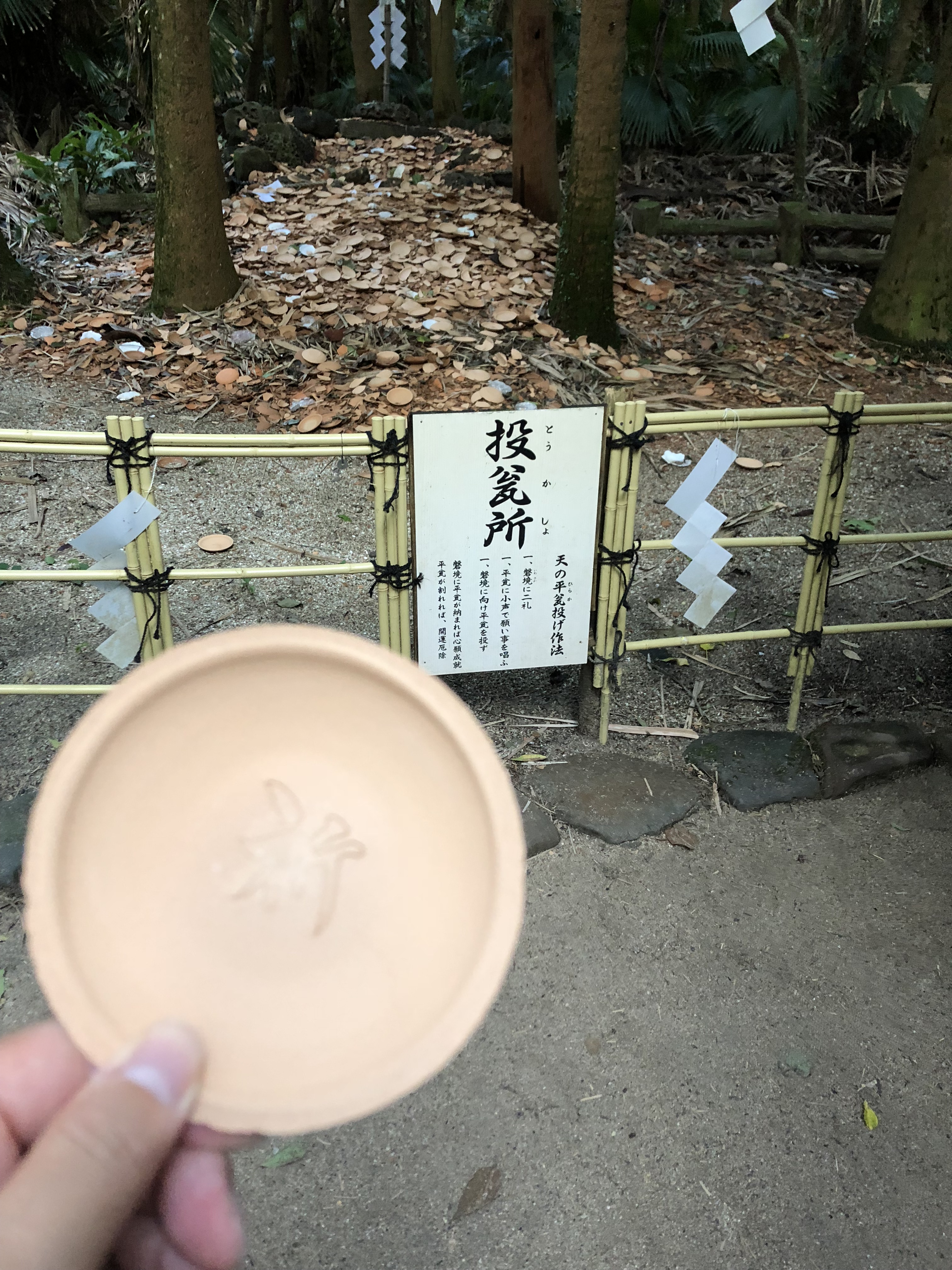 写真で一言３０