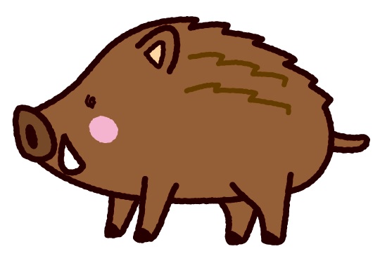 新年のご挨拶