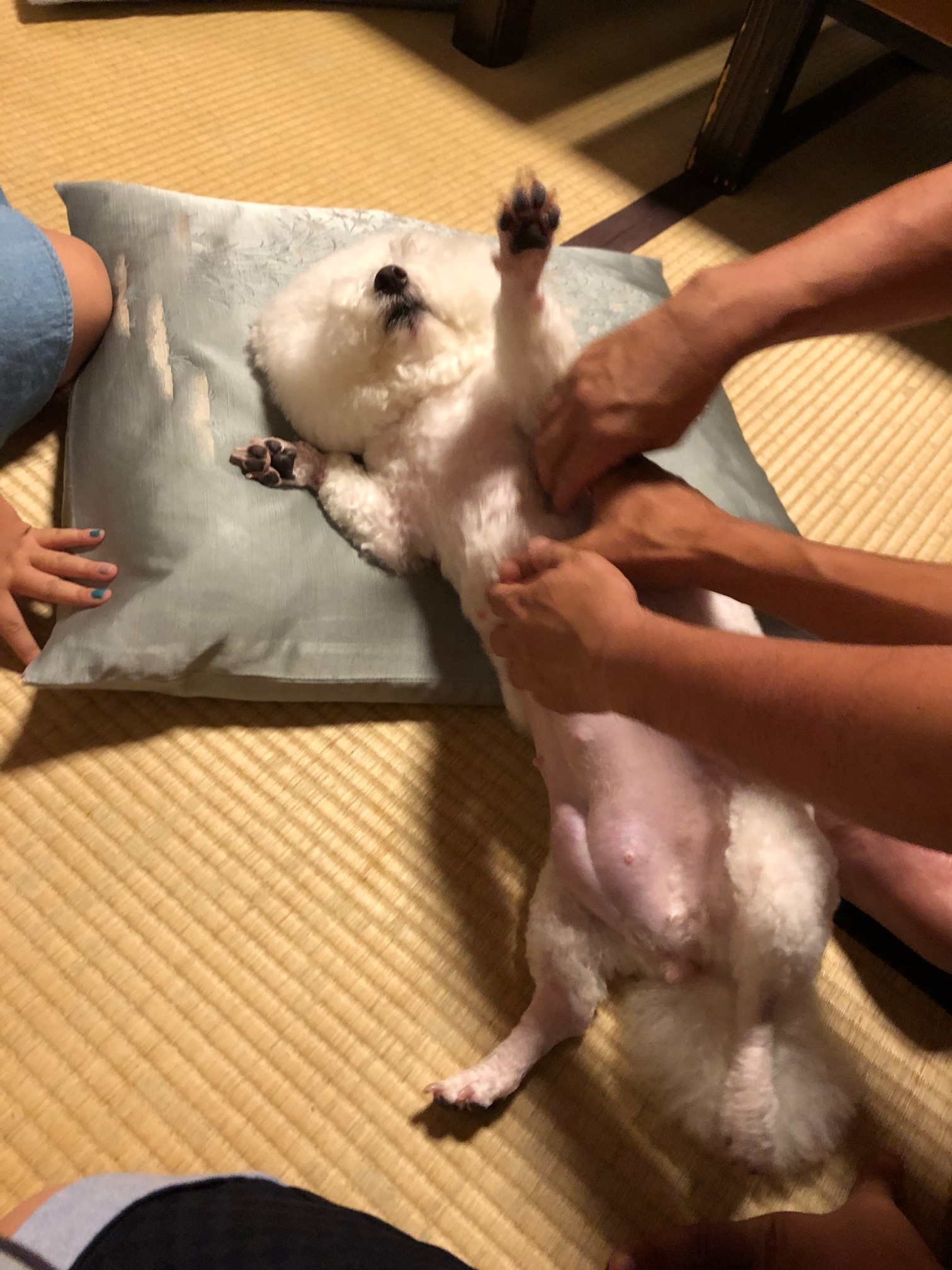 写真で一言３５