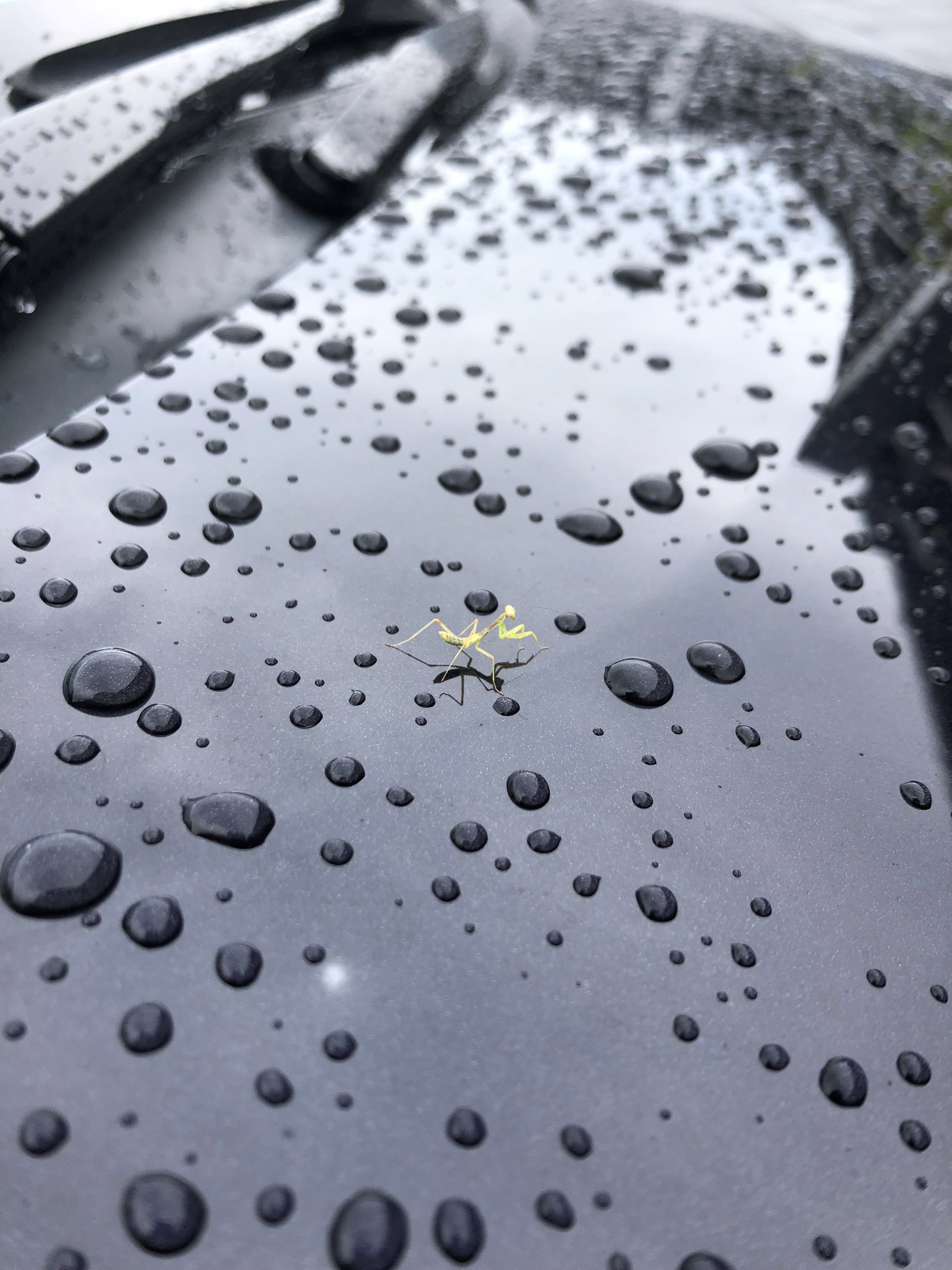 写真で一言４５