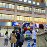 野球観戦