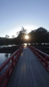 山は登っていません
