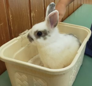 お目当ての…